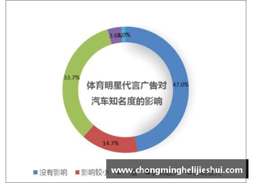 体育明星代言的多样化品牌类型及其影响分析